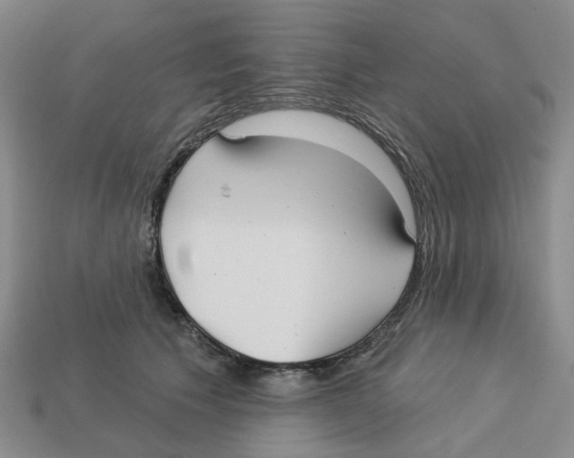 X0000113180609200910021544