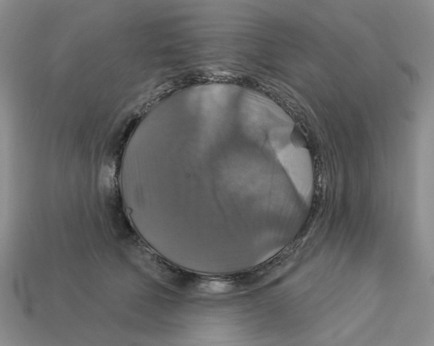 X0000113180610200910021544