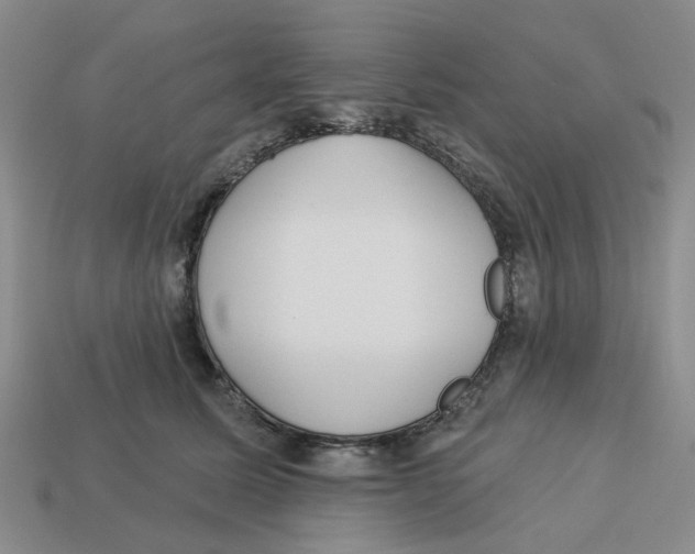 X0000113180611200910021544