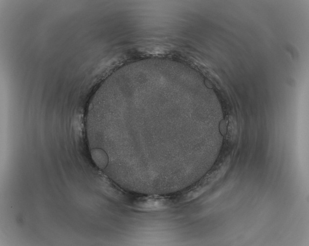 X0000113180612200910021544