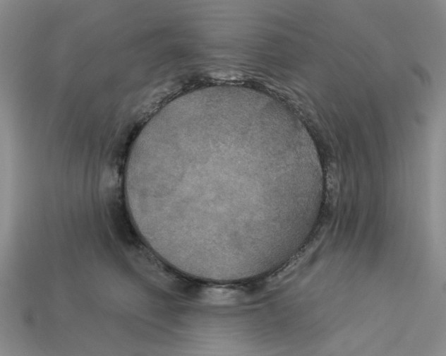 X0000113180614200910021544