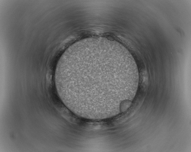 X0000113180615200910021544