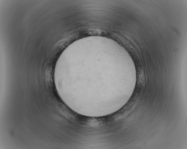 X0000113180616200910021544