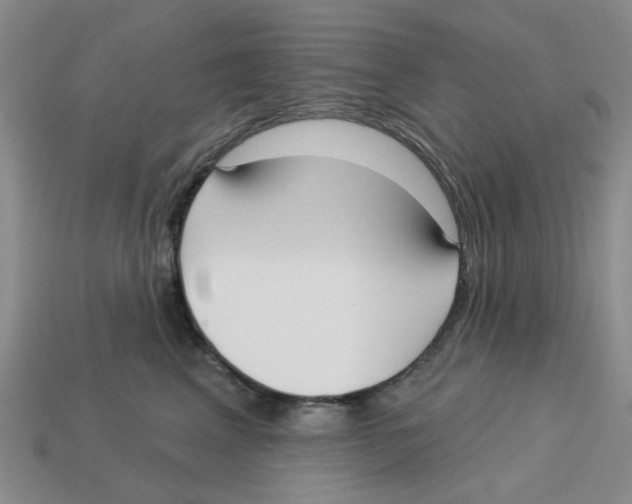 X0000113180617200910021544