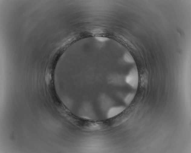X0000113180618200910021544