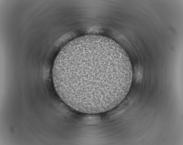 X0000113180619200910021544