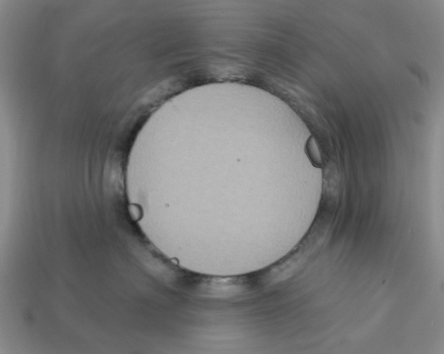 X0000113180622200910021544
