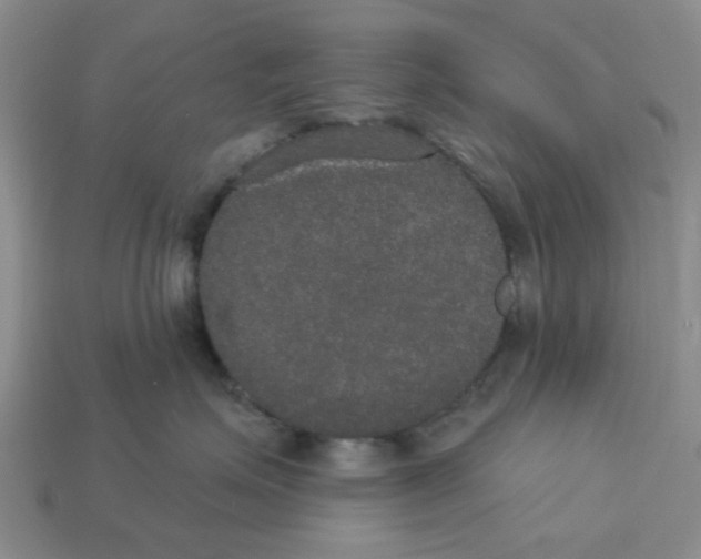 X0000113180623200910021544