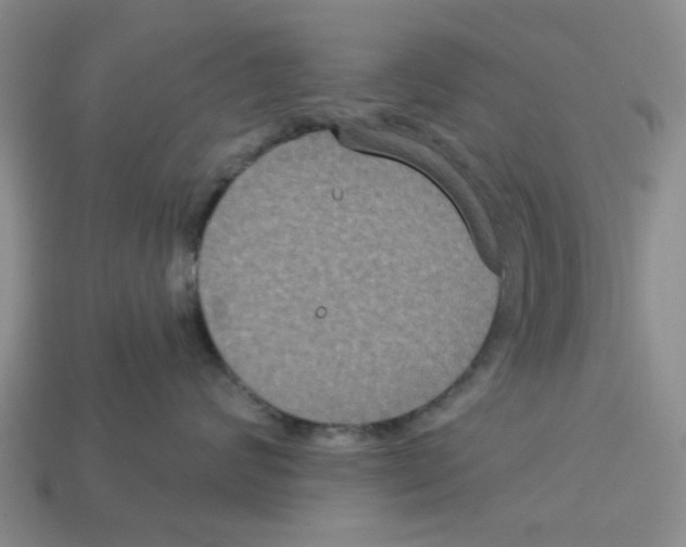 X0000113180624200910021544