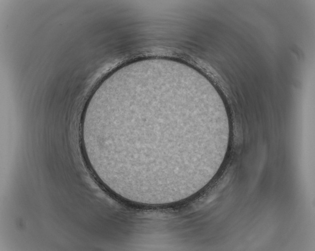 X0000113180625200910021544