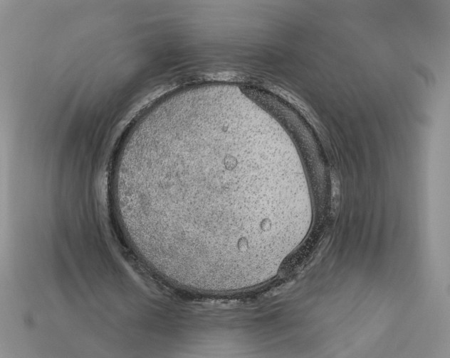 X0000113180626200910021544