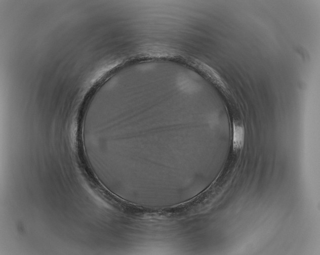 X0000113180627200910021544