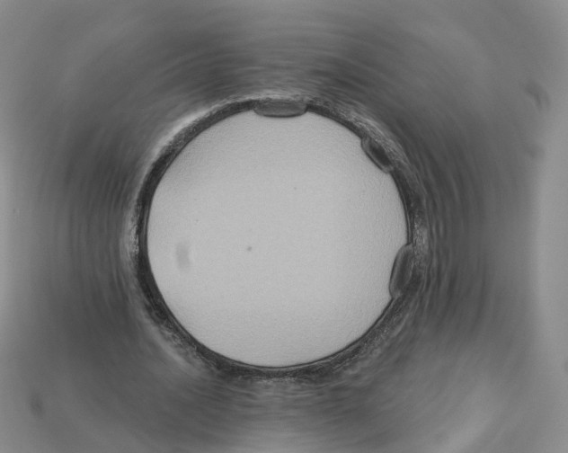 X0000113180628200910021544