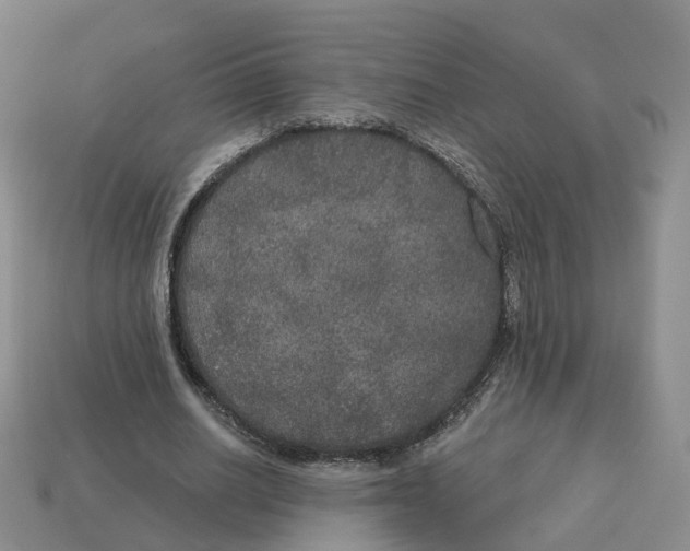 X0000113180630200910021544