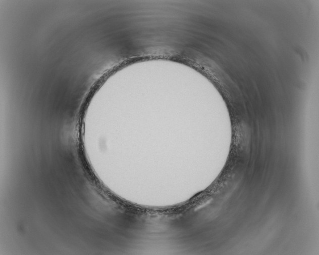 X0000113180632200910021544