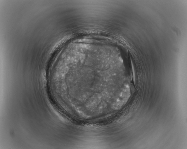 X0000113180634200910021544