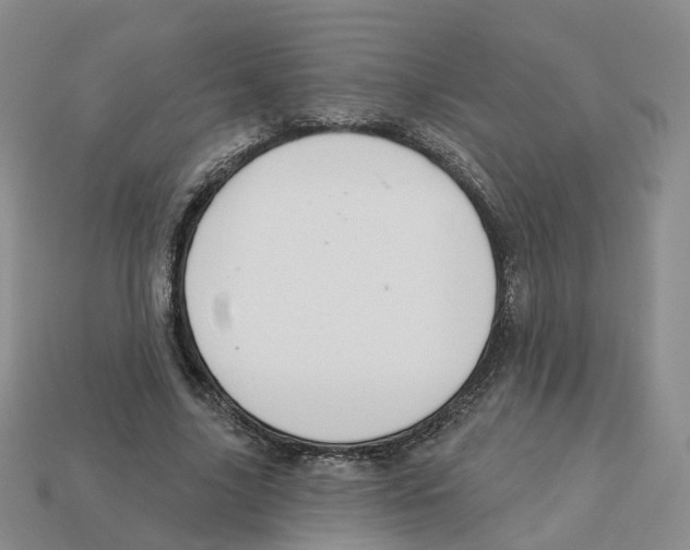 X0000113180635200910021544