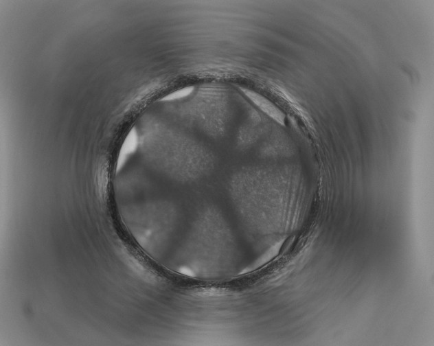 X0000113180637200910021544