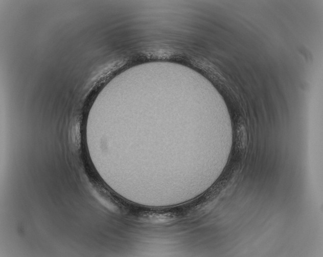 X0000113180638200910021544