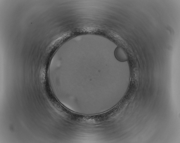 X0000113180640200910021544