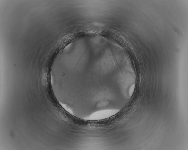 X0000113180641200910021544