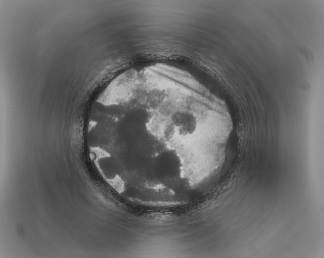 X0000113180642200910021544