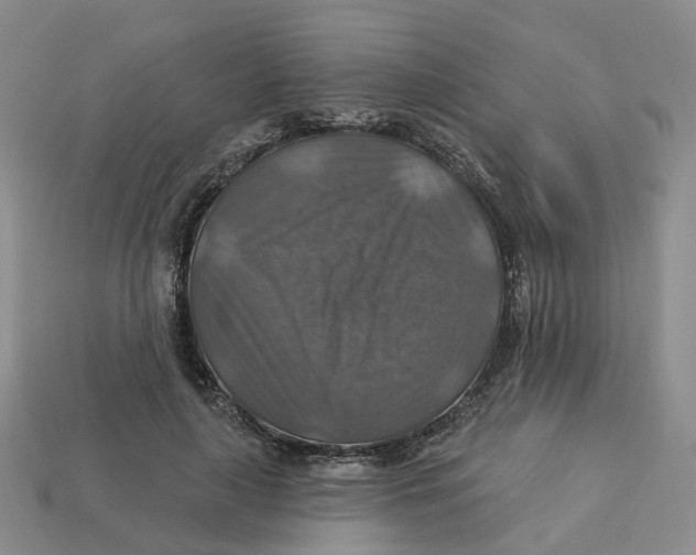 X0000113180643200910021544