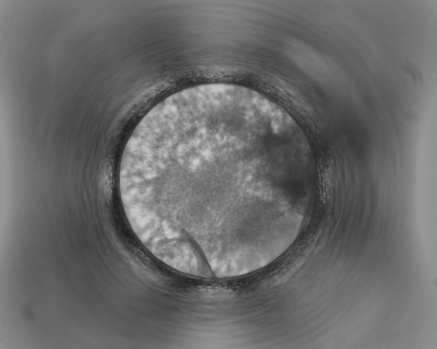 X0000113180644200910021544