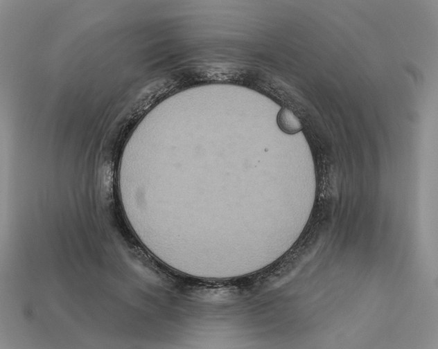 X0000113180646200910021544