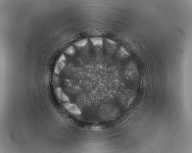 X0000113180647200910021544