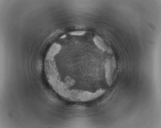 X0000113180648200910021544