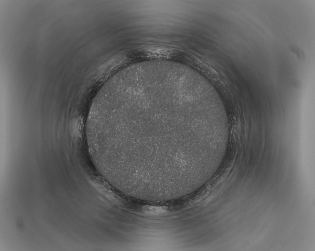 X0000113180649200910021544