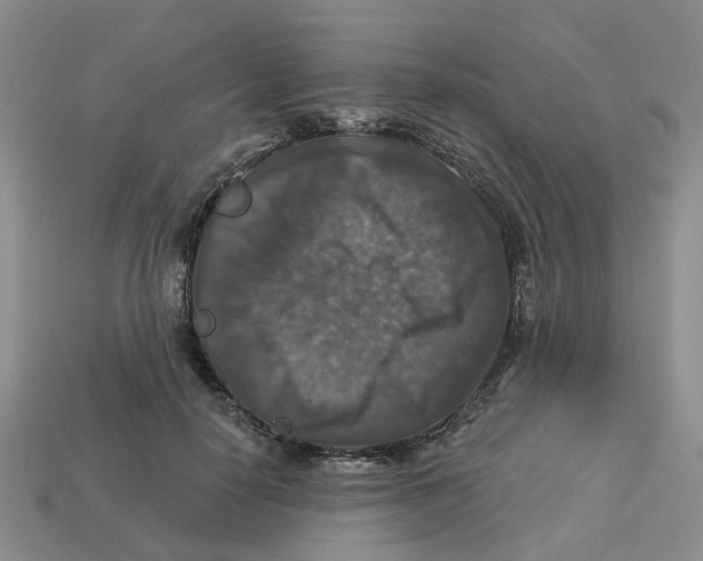 X0000113180650200910021544
