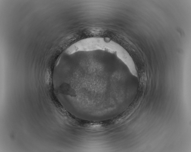 X0000113180651200910021544