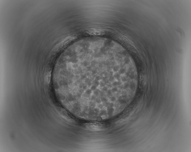 X0000113180652200910021544