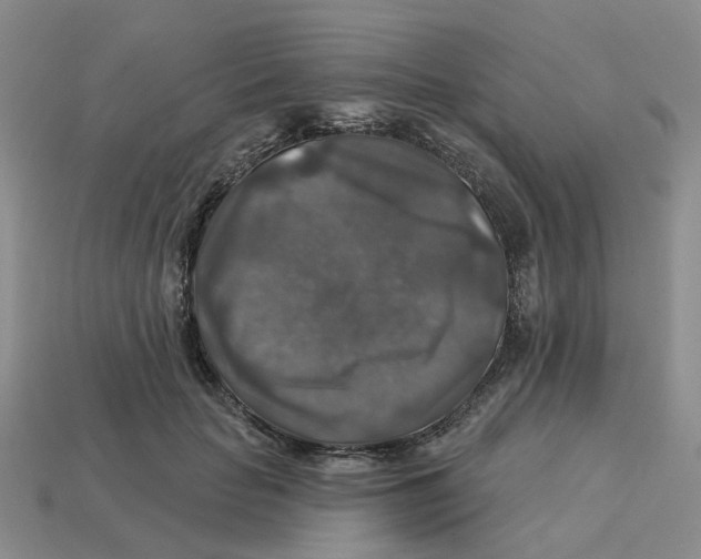 X0000113180653200910021544