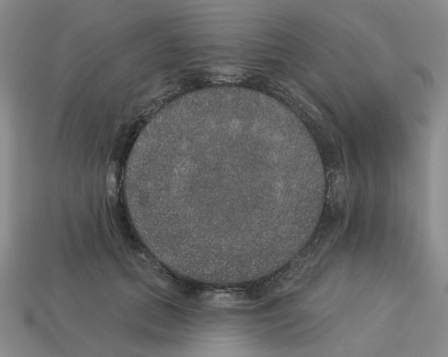 X0000113180655200910021544