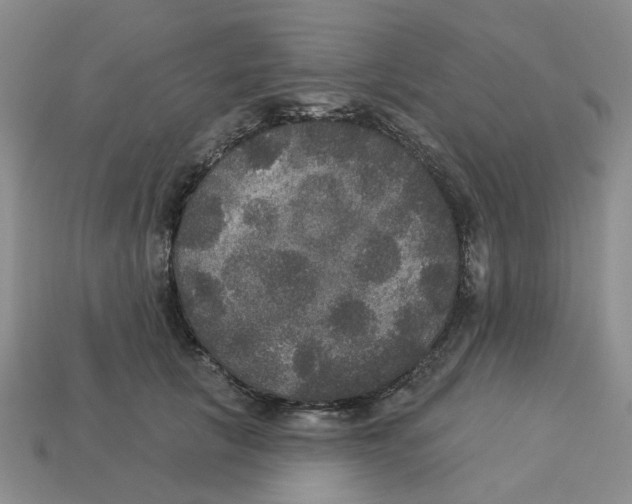 X0000113180657200910021544