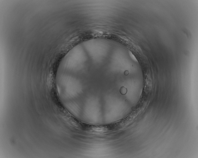 X0000113180659200910021544