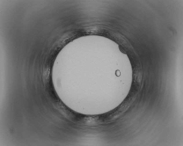 X0000113180660200910021544