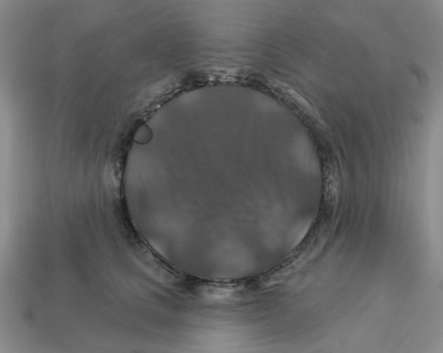 X0000113180661200910021544