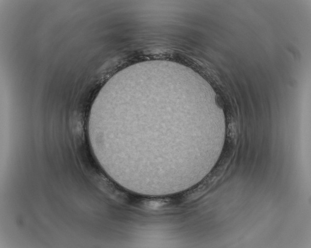 X0000113180662200910021544
