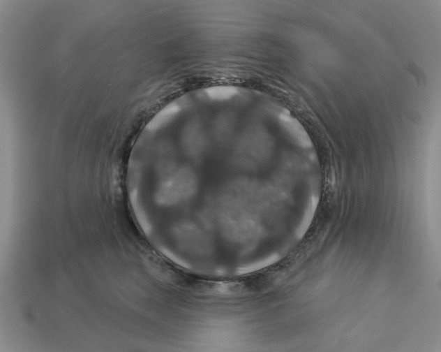 X0000113180663200910021544