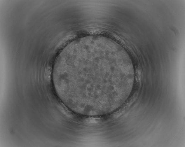 X0000113180664200910021544