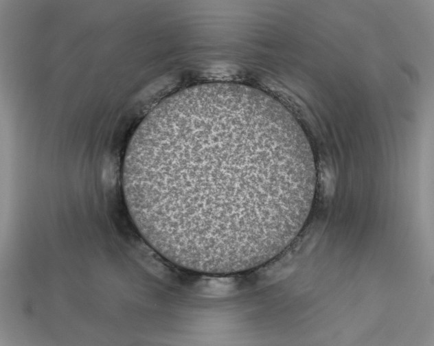 X0000113180665200910021544