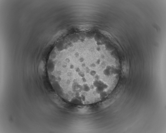 X0000113180667200910021544