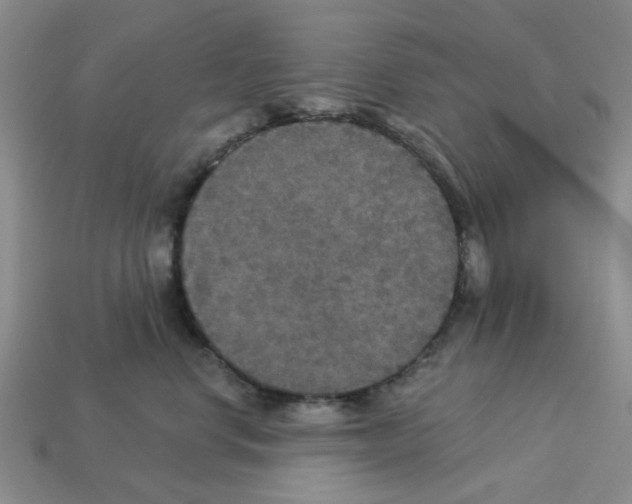 X0000113180668200910021544
