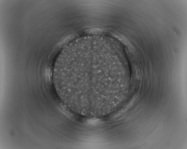 X0000113180669200910021544