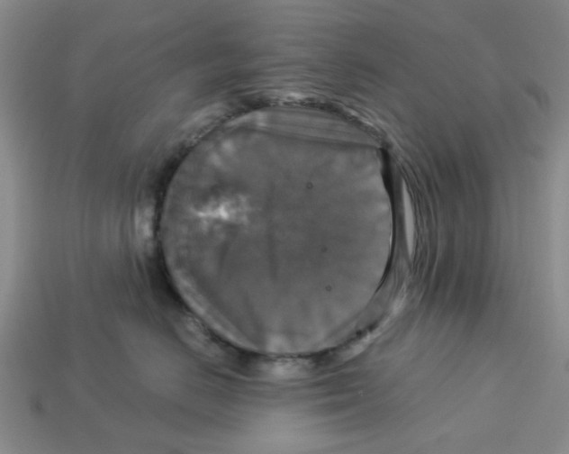 X0000113180670200910021544