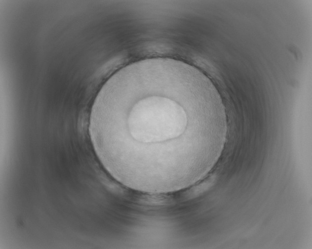 X0000113180672200910021544